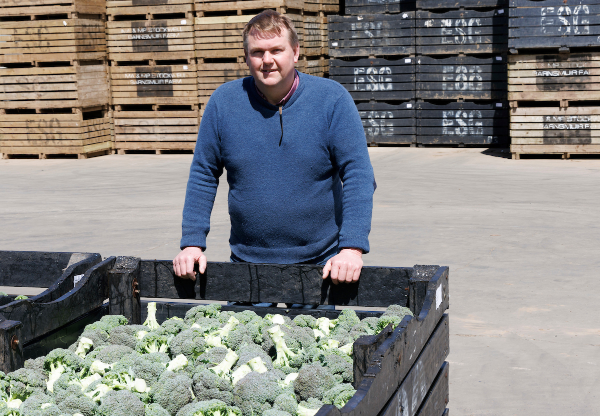 Barnsmuir Farm, soft fruit and vegetable growers.

Picture by Graeme Hart.
Copyright Perthshire Picture Agency
Tel: 01738 623350  Mobile: 07990 594431